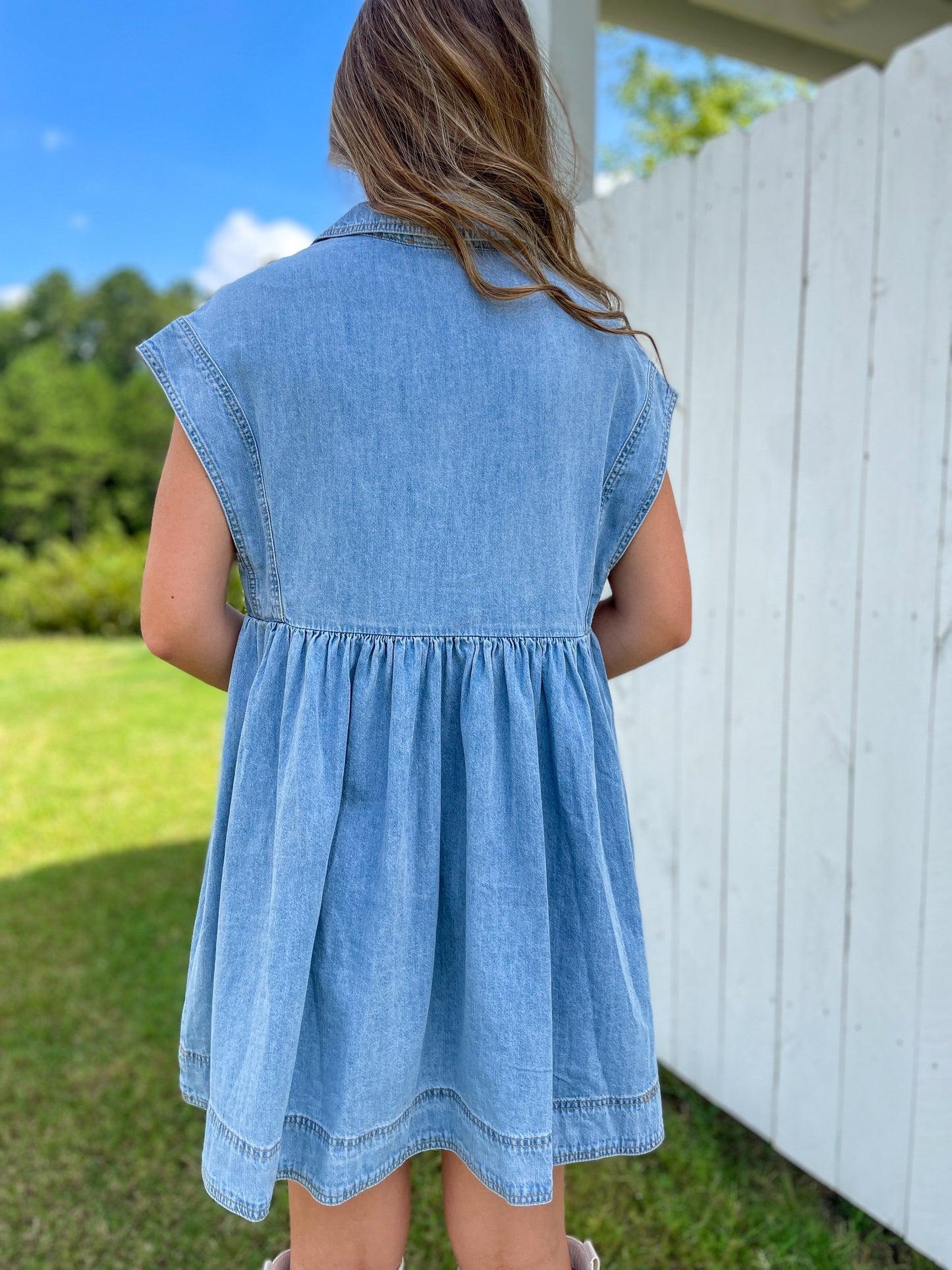 Renee Collared Denim Dress