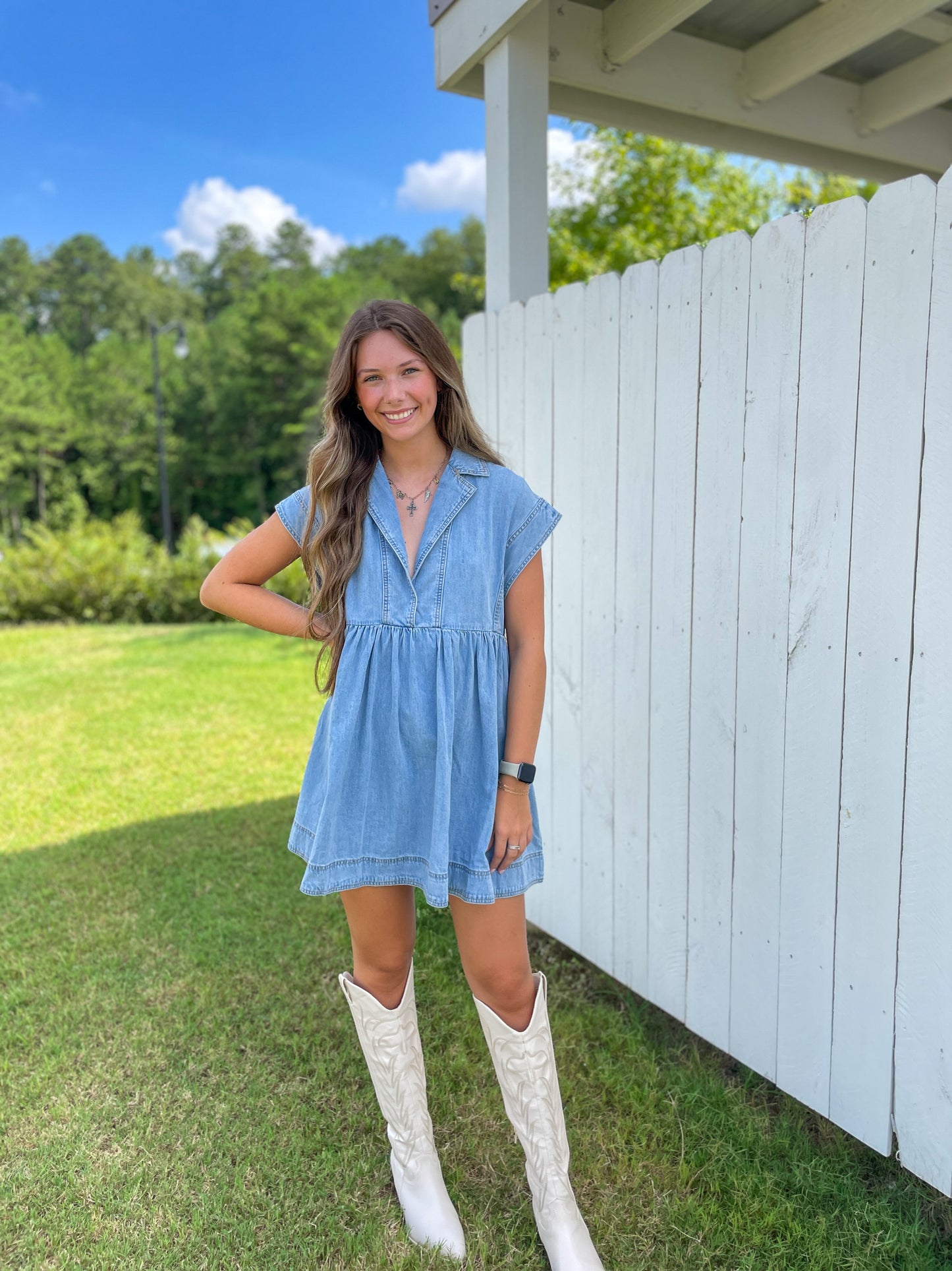 Renee Collared Denim Dress